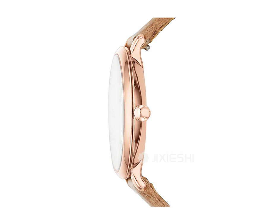 FOSSIL (gu)FOSSILŮʿֱES3487 Ȿԭ
